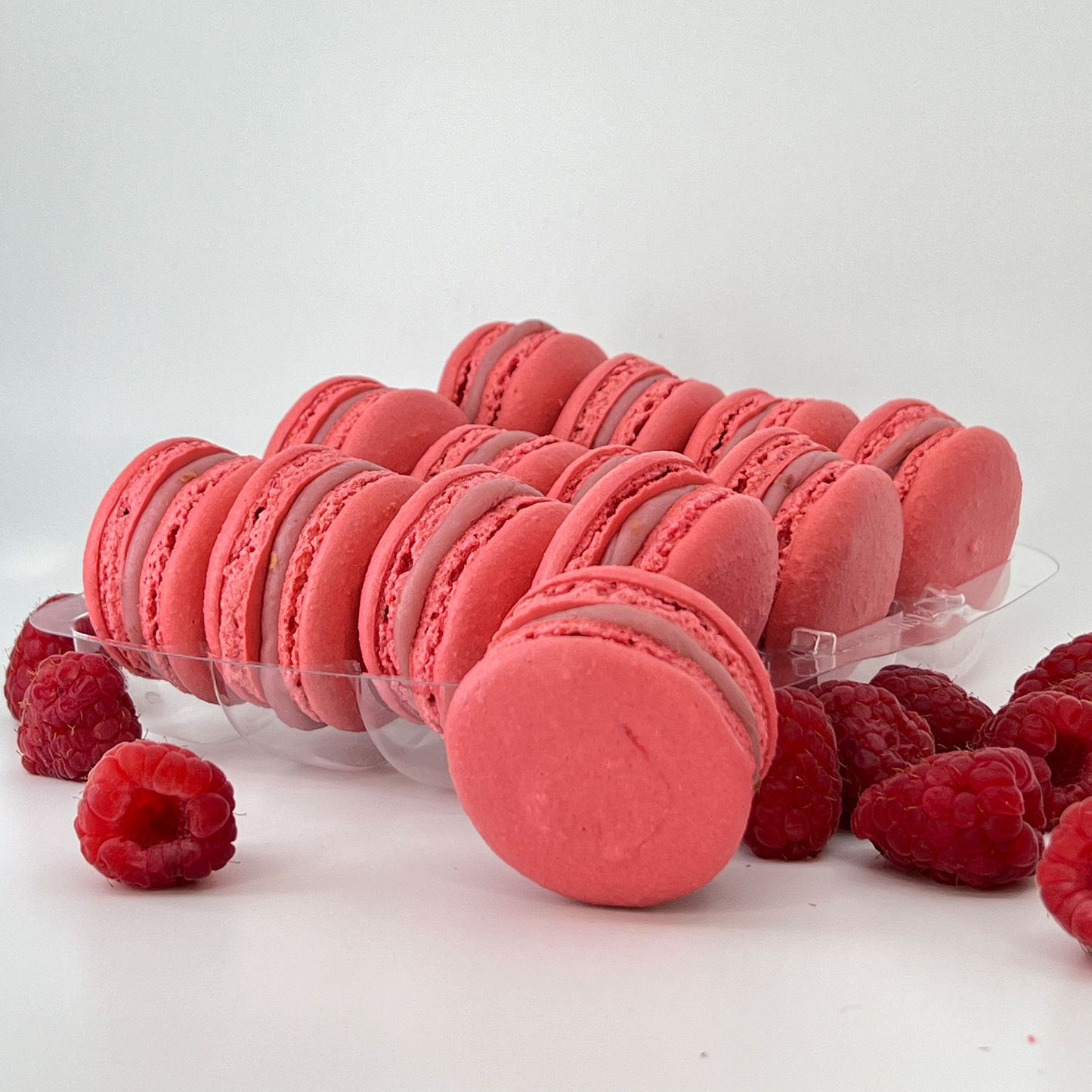 French Macaron | 12 Pack My Favorite WOOOW
